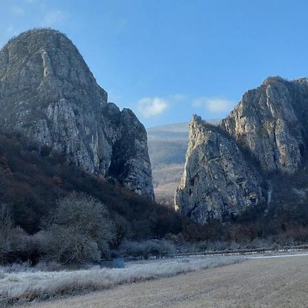 Golemi Kamik Pirot Vlasi المظهر الخارجي الصورة
