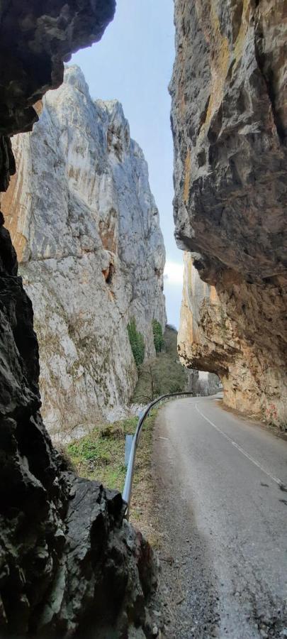 Golemi Kamik Pirot Vlasi المظهر الخارجي الصورة